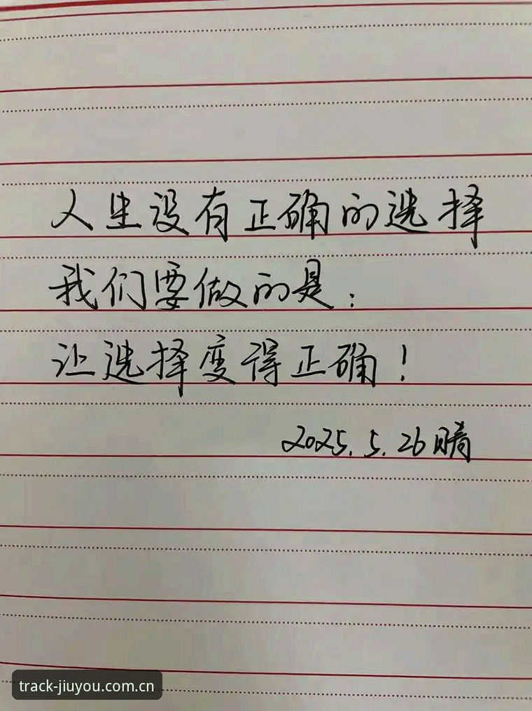 海外华人JIUYOU游戏轨迹数据查看最新版 当你可以自定义人生轨迹,马宁的选择为何值得你重新思考自己的生活?